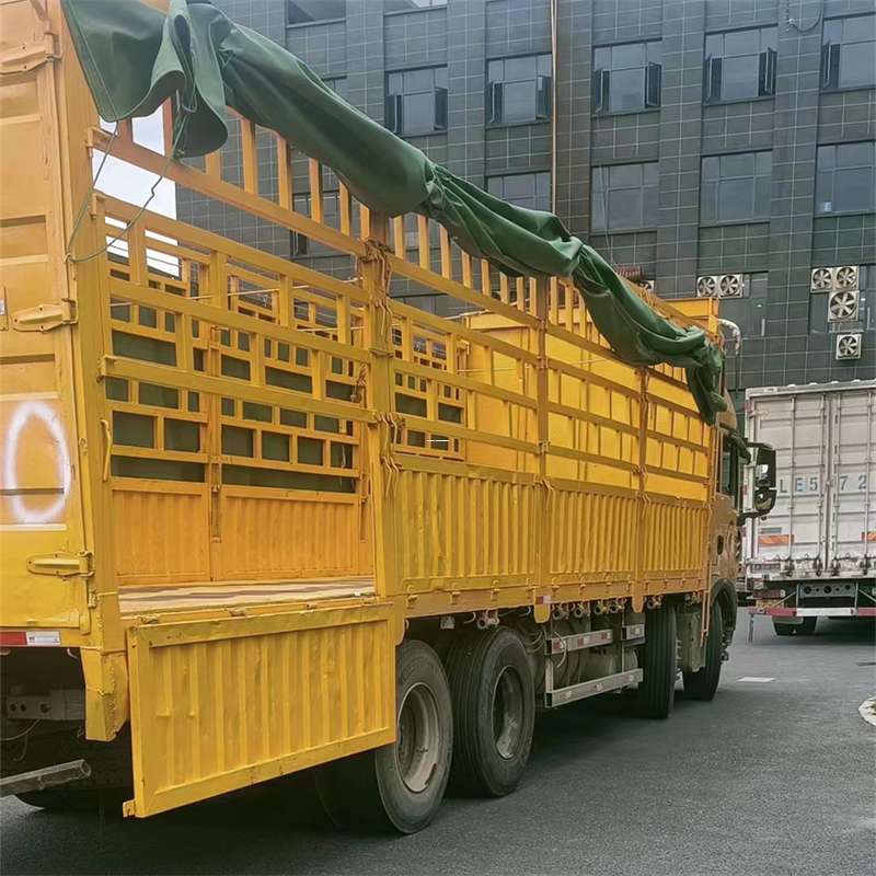 新兴镇灵璧县物流运输：多元服务与高效线路探秘